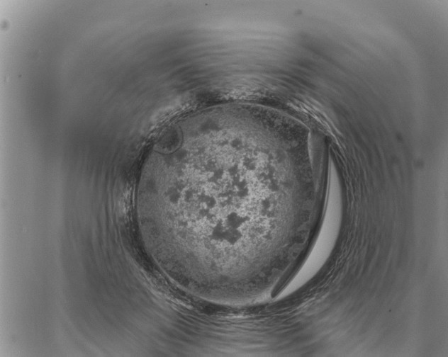 X0000086930503200704231334