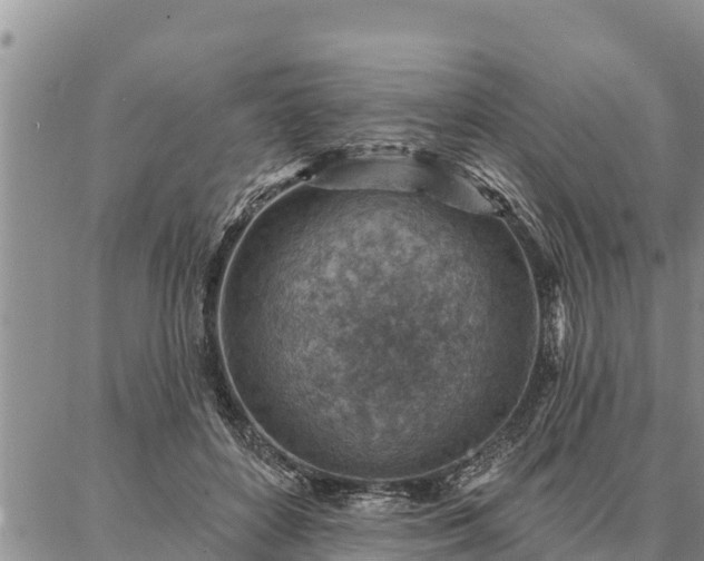 X0000086930504200704231334