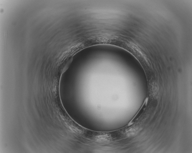 X0000086930505200704231334