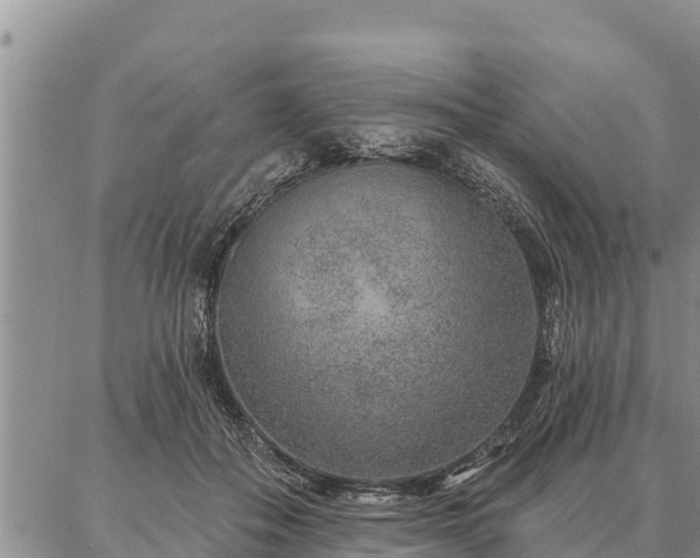 X0000086930506200704231334