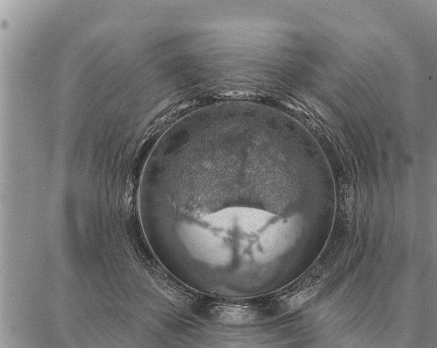 X0000086930507200704231334