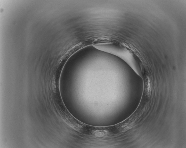 X0000086930508200704231334