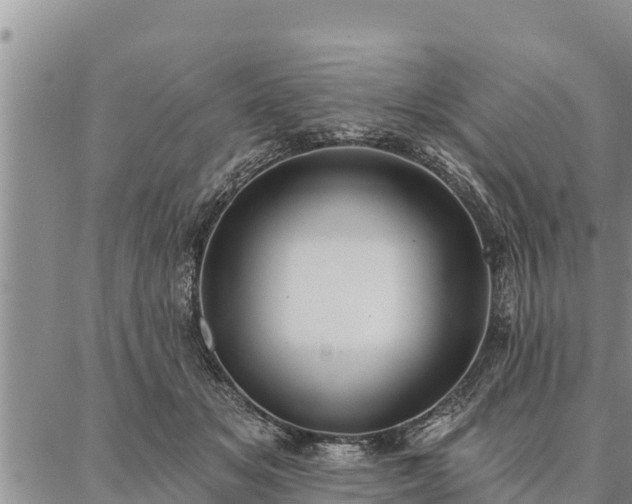 X0000086930509200704231334