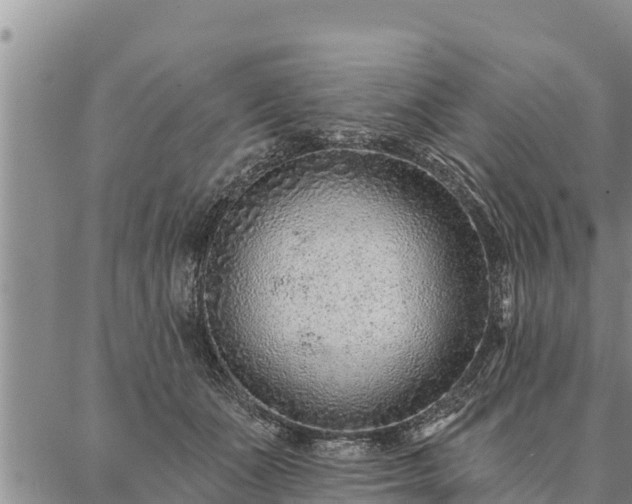 X0000086930511200704231334