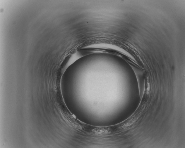 X0000086930512200704231334