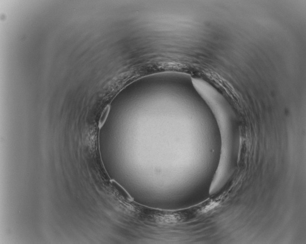 X0000086930513200704231334