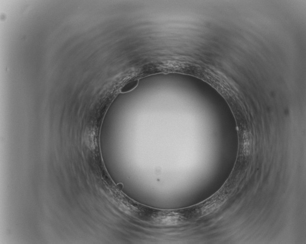 X0000086930514200704231334