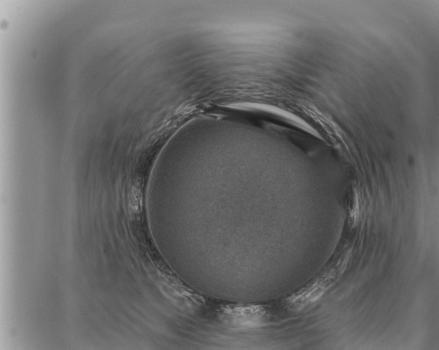 X0000086930517200704231333