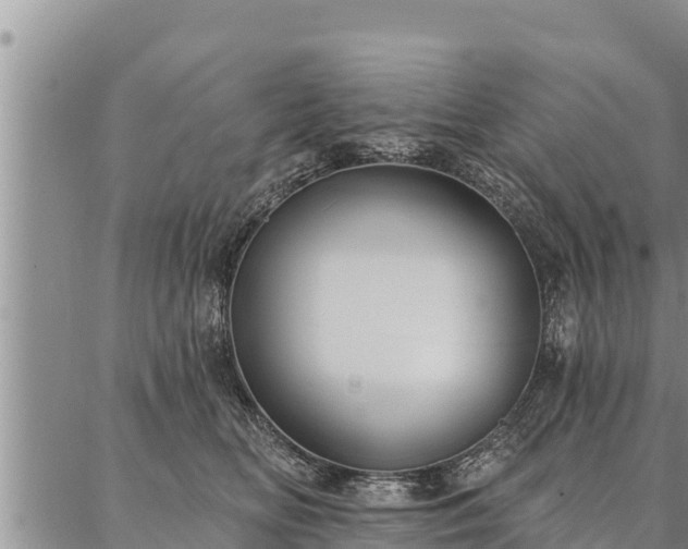 X0000086930518200704231333