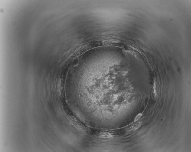 X0000086930519200704231333