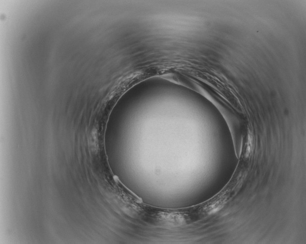 X0000086930520200704231333