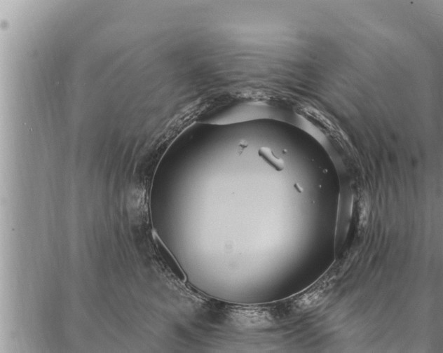 X0000086930521200704231333