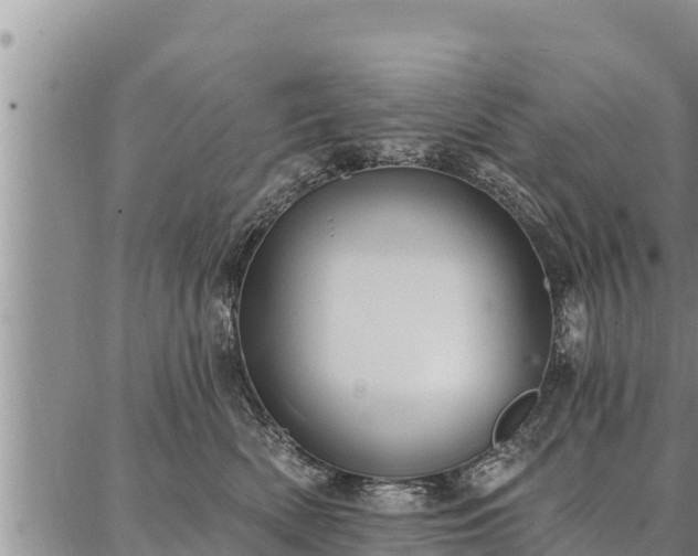 X0000086930522200704231333