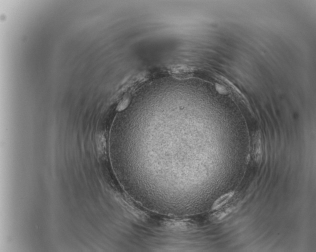 X0000086930523200704231333