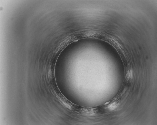 X0000086930524200704231333