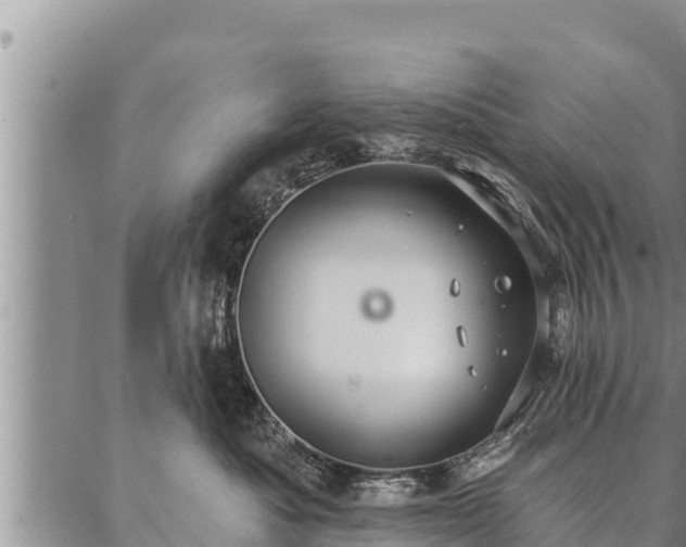 X0000086930525200704231333