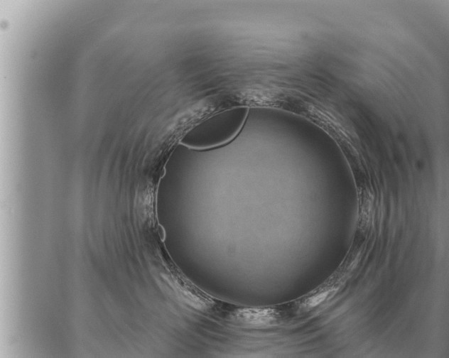 X0000086930526200704231333