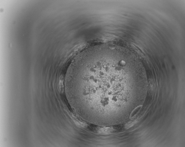 X0000086930527200704231333