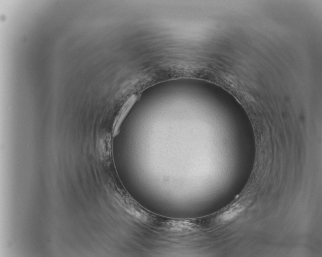 X0000086930528200704231333