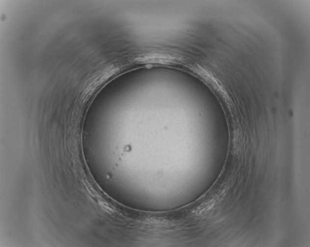 X0000086930529200704231333