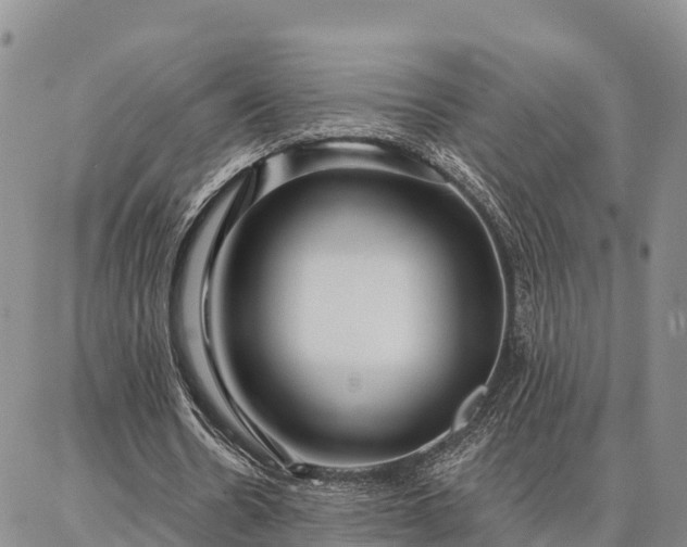 X0000086930530200704231333