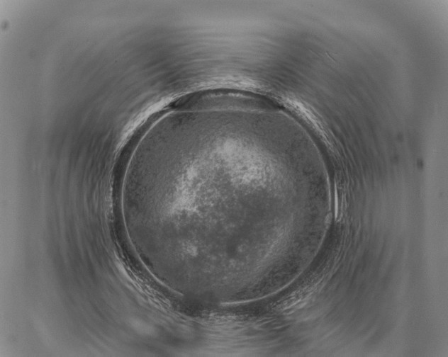 X0000086930531200704231333