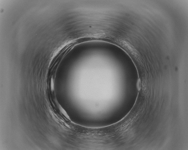 X0000086930532200704231333