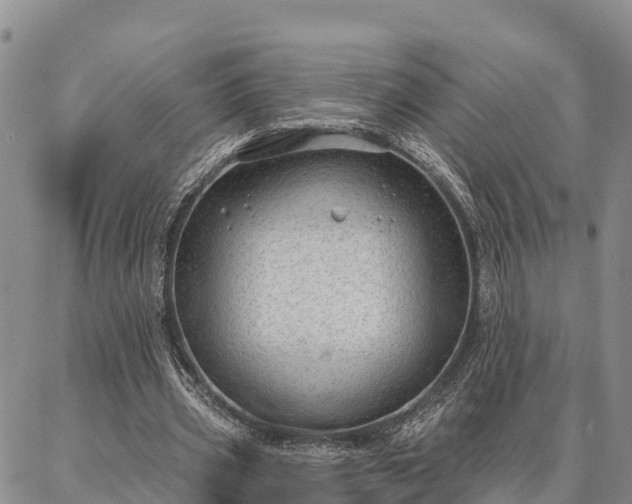 X0000086930533200704231333