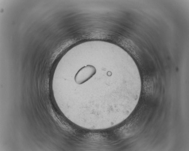 X0000086930534200704231333