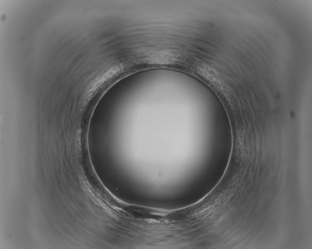 X0000086930535200704231333