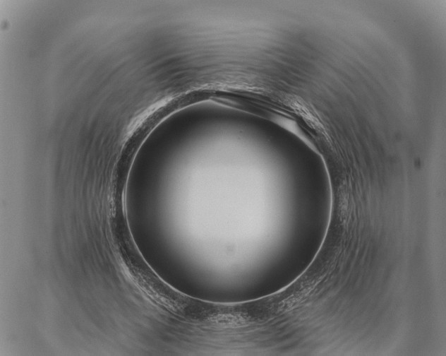 X0000086930536200704231333