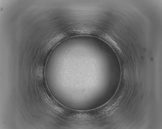 X0000086930537200704231333