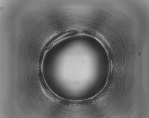 X0000086930538200704231333