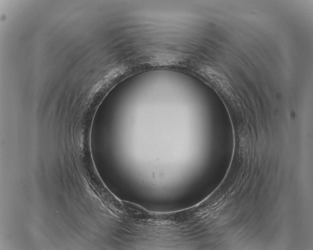 X0000086930539200704231333