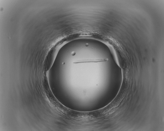 X0000086930540200704231333