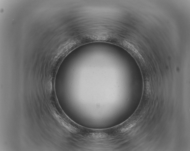 X0000086930541200704231333