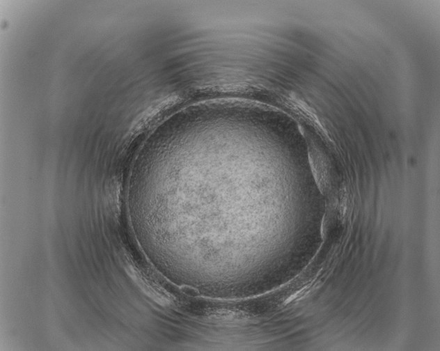 X0000086930542200704231333