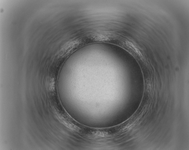 X0000086930549200704231333