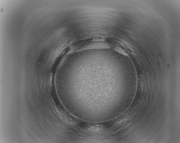 X0000086930550200704231333