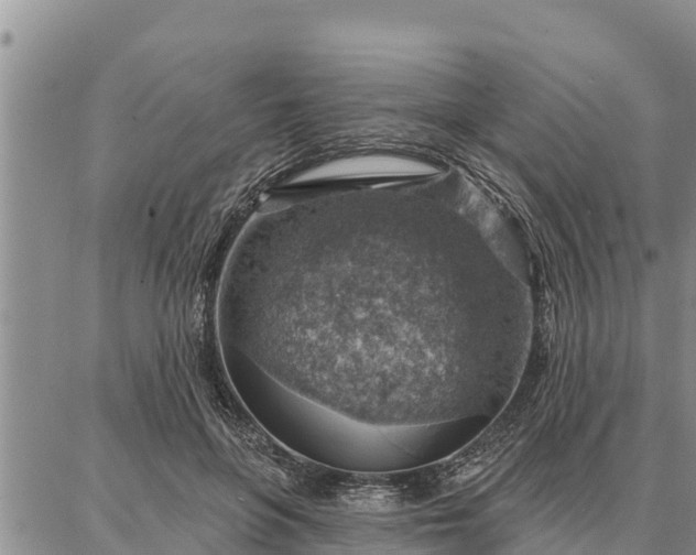 X0000086930551200704231333