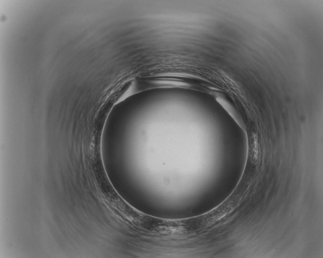 X0000086930552200704231333