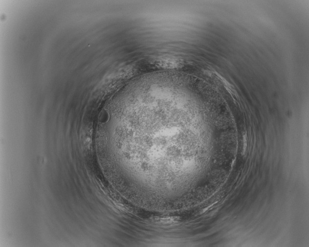 X0000086930553200704231333