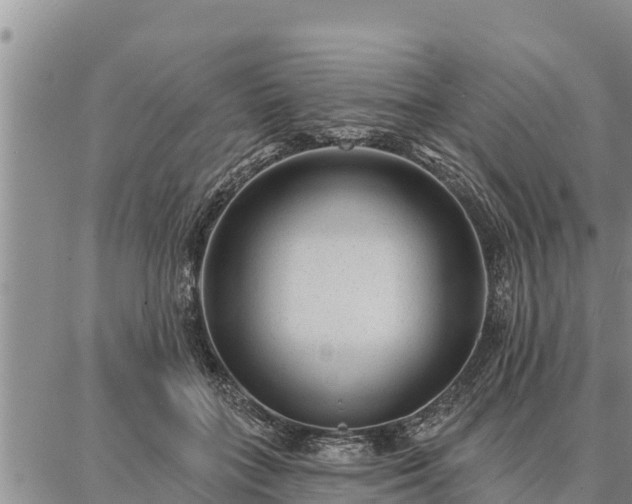 X0000086930555200704231333