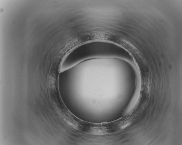 X0000086930556200704231333