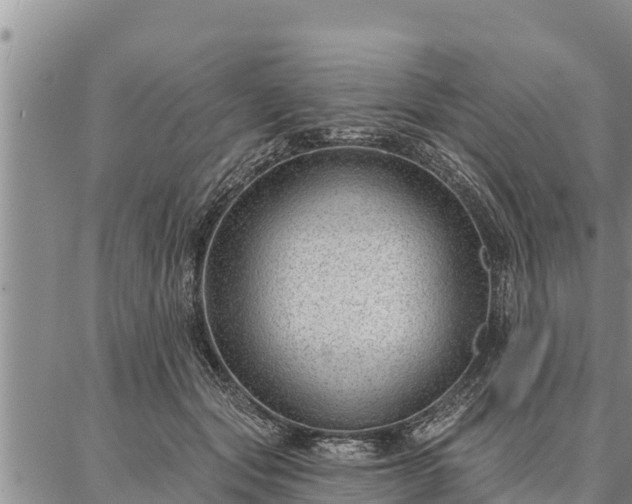 X0000086930557200704231333