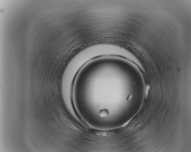 X0000086930558200704231333