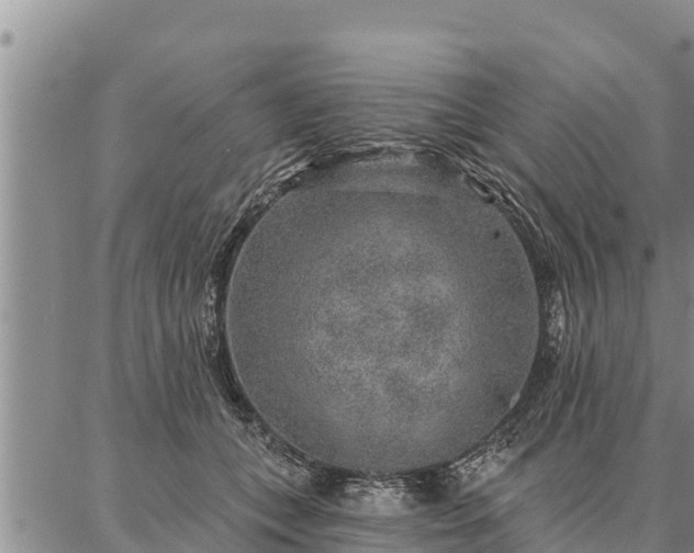 X0000086930559200704231333