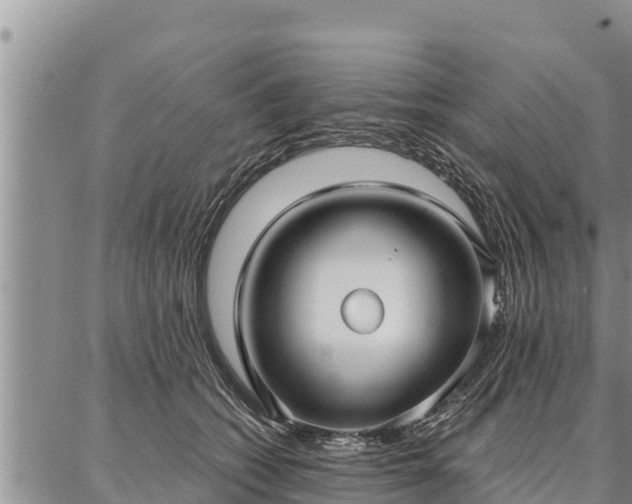 X0000086930562200704231333