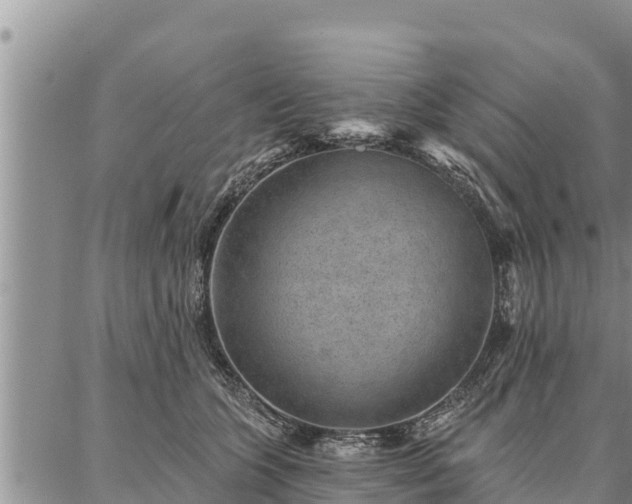 X0000086930563200704231333