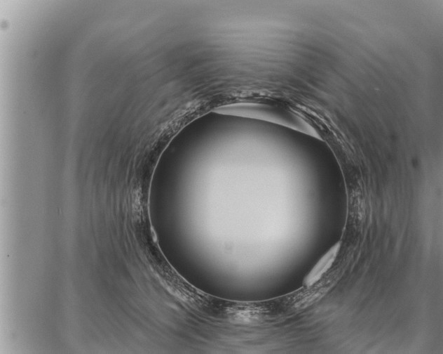 X0000086930564200704231333